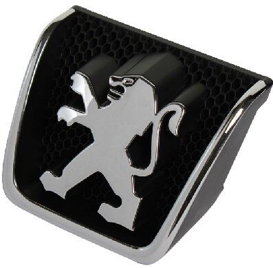 ÖN PANJUR ARMASI PEUGEOT 307 2001-2006 7810G8