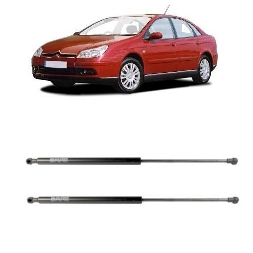 MOTOR KAPUT AMORTİSÖRÜ SAĞ-SOL TAKIM C5 2001-2009 792514